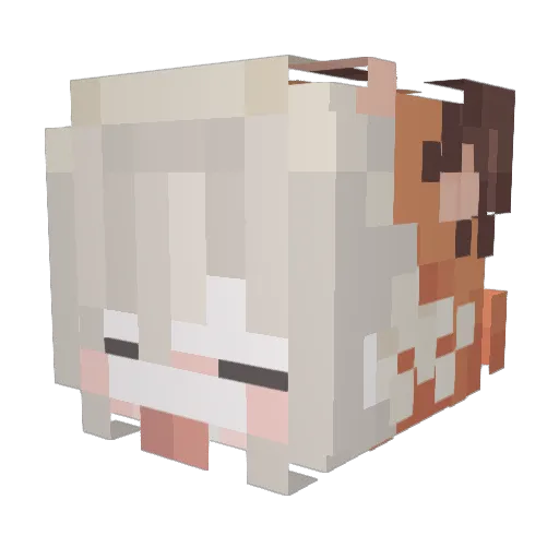 _zomik Minecraft avatar head, 3D render