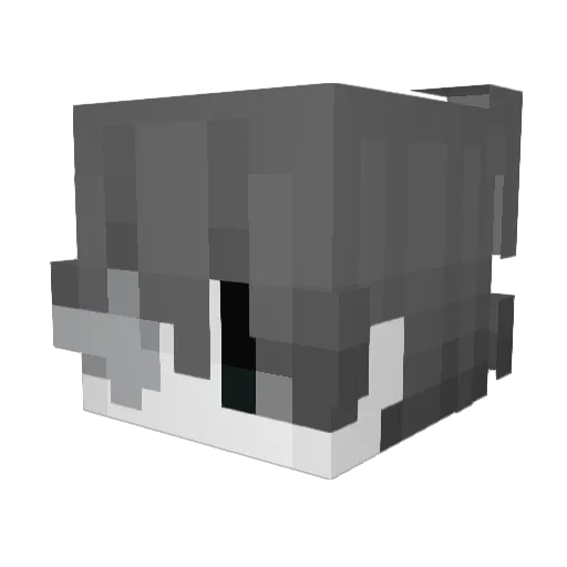 _zqw Minecraft avatar head, 3D render