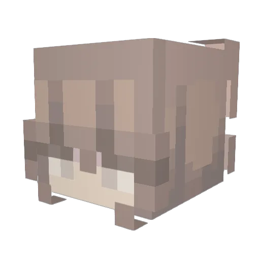 _zscarlett Minecraft avatar head, 3D render