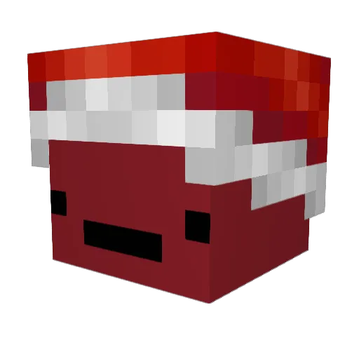 _zwolin Minecraft avatar head, 3D render