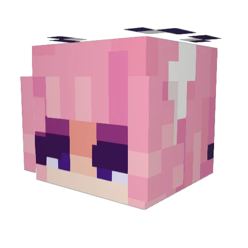 a03john Minecraft avatar head, 3D render