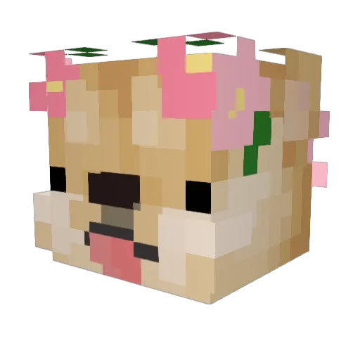 a1denapple Minecraft avatar head, 3D render