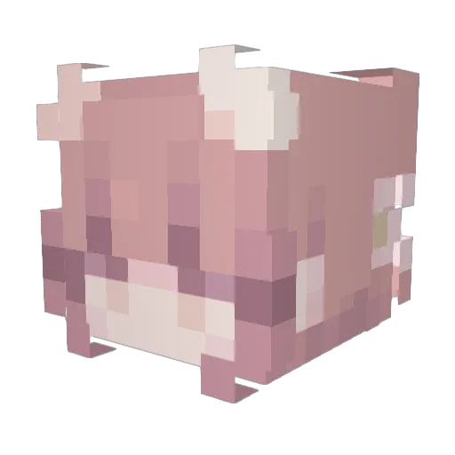 a1kalyne Minecraft avatar head, 3D render