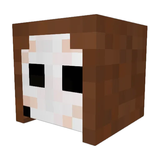 a1plouffy Minecraft avatar head, 3D render
