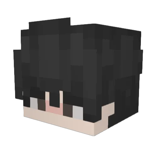 a1von Minecraft avatar head, 3D render