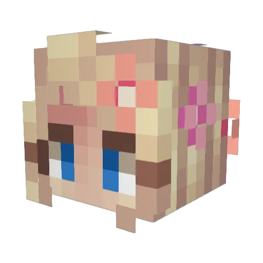 a1y5sa Minecraft avatar head, 3D render