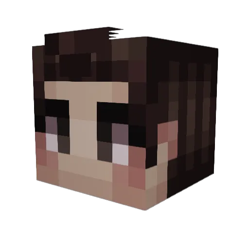 a2qil Minecraft avatar head, 3D render