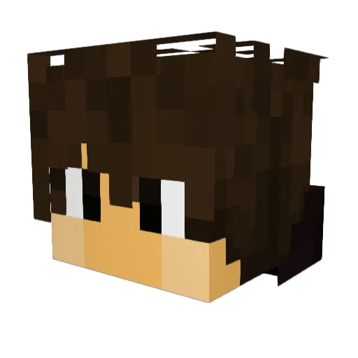 a35217129 Minecraft avatar head, 3D render