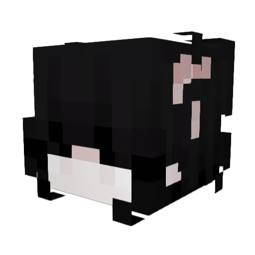 a4k3 Minecraft avatar head, 3D render