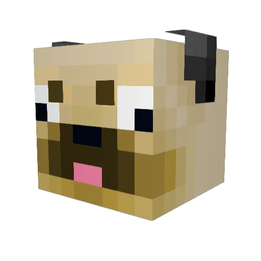 a55_lover Minecraft avatar head, 3D render
