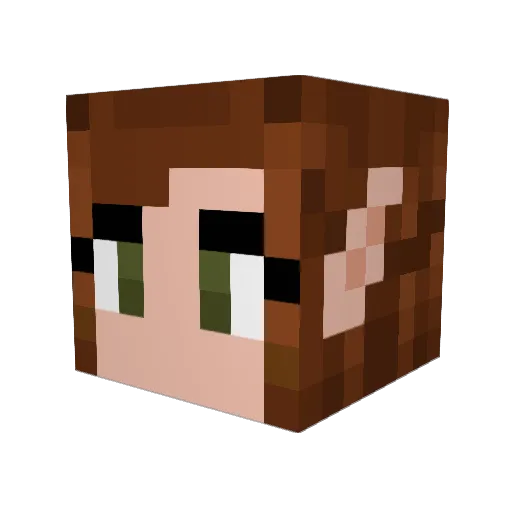 a7rainbowdash07 Minecraft avatar head, 3D render