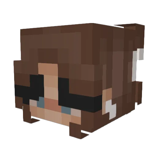 a8door5no3 Minecraft avatar head, 3D render