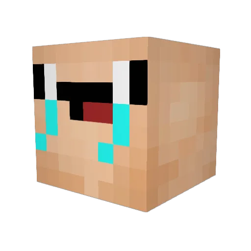 aAvanquishAa Minecraft avatar head, 3D render