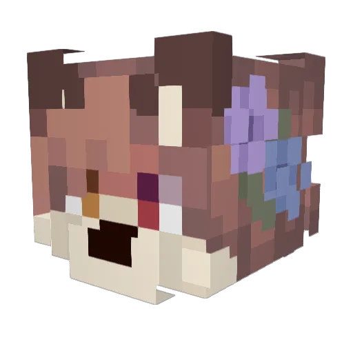 aBANANgod Minecraft avatar head, 3D render