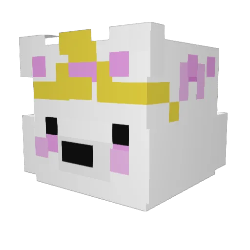 aBearMoe Minecraft avatar head, 3D render