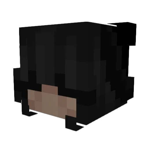 aBriii Minecraft avatar head, 3D render