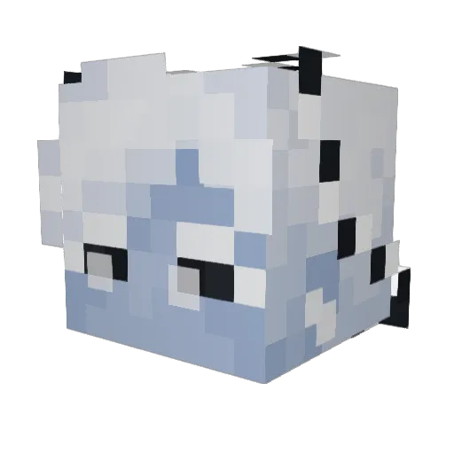 aCatSmoothie Minecraft avatar head, 3D render