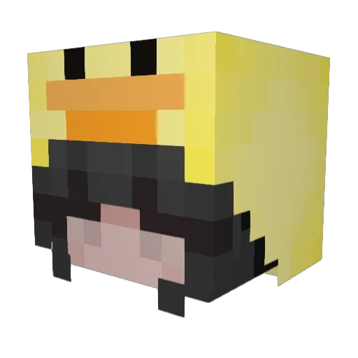 aDanny00 Minecraft avatar head, 3D render
