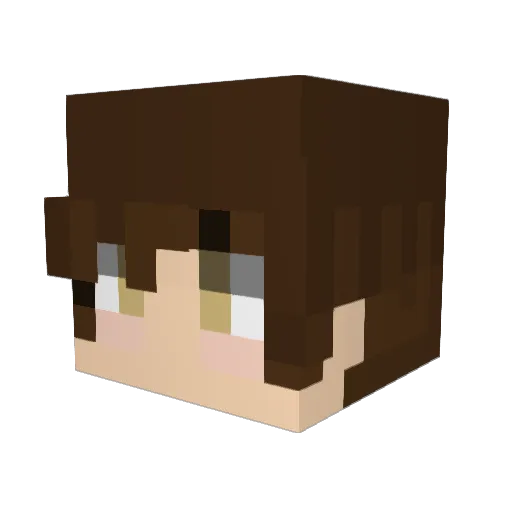 aDuckCrusader Minecraft avatar head, 3D render