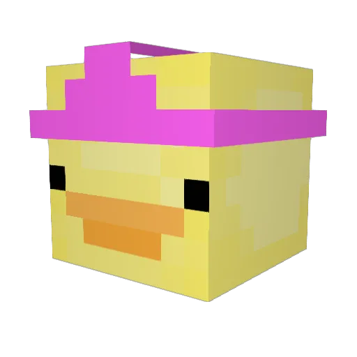 aDuckHiOnQuack Minecraft avatar head, 3D render