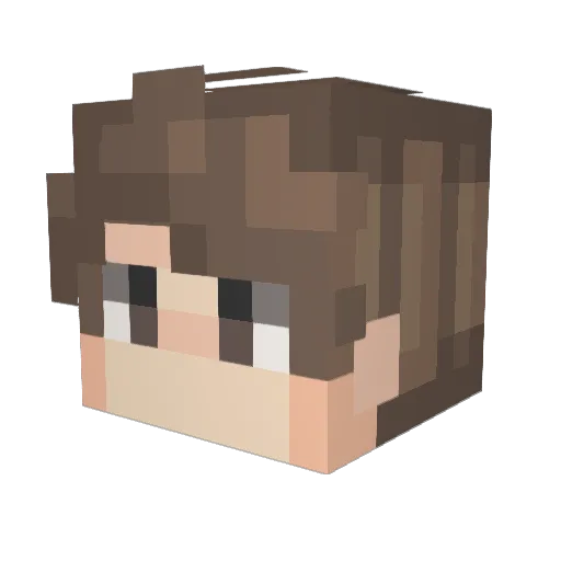 aEffect_ Minecraft avatar head, 3D render