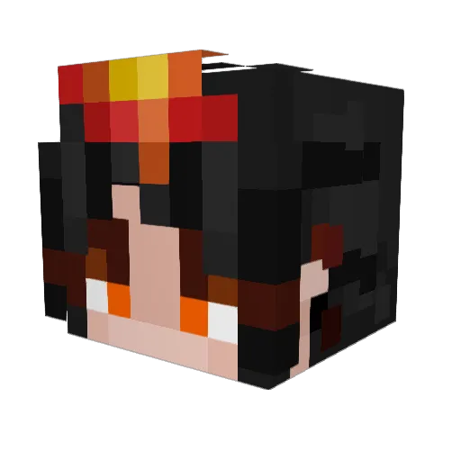 aFallingFridge Minecraft avatar head, 3D render