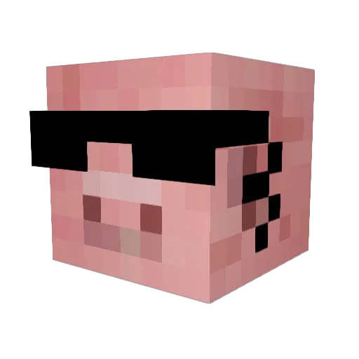 aFatMom Minecraft avatar head, 3D render