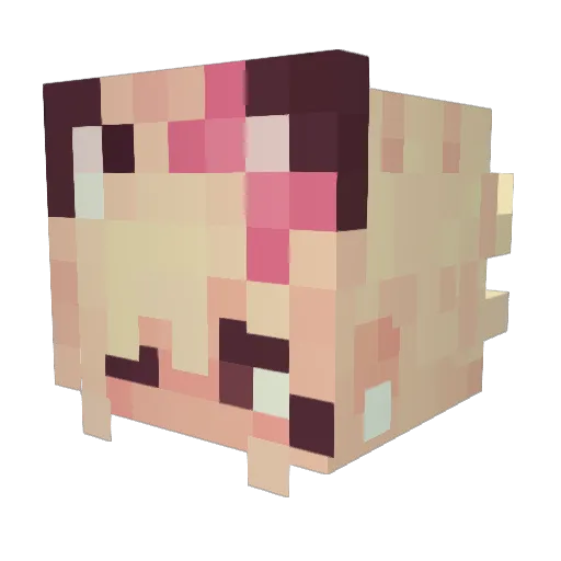 aFestiveGibus Minecraft avatar head, 3D render