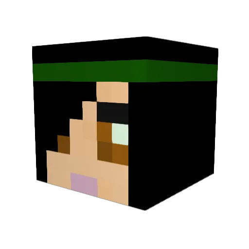 aFlipinNinja Minecraft avatar head, 3D render