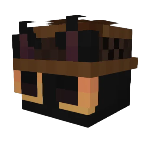 aFloofyCat Minecraft avatar head, 3D render