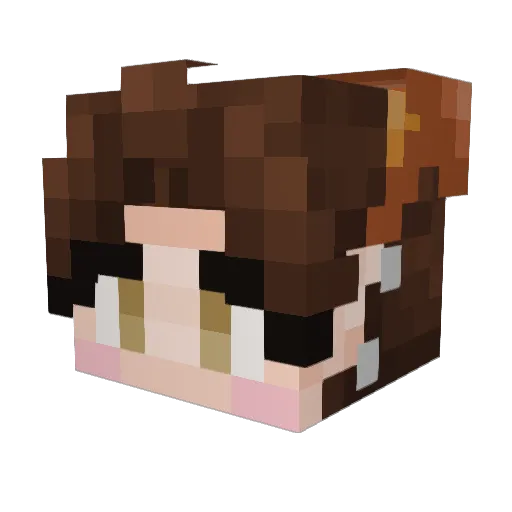 aGhostsFate Minecraft avatar head, 3D render