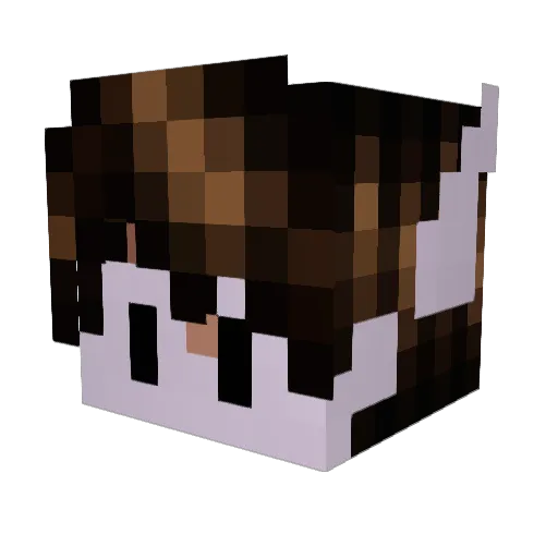 aHerobrinE Minecraft avatar head, 3D render