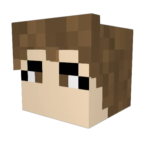 aHiCk9909 Minecraft avatar head, 3D render
