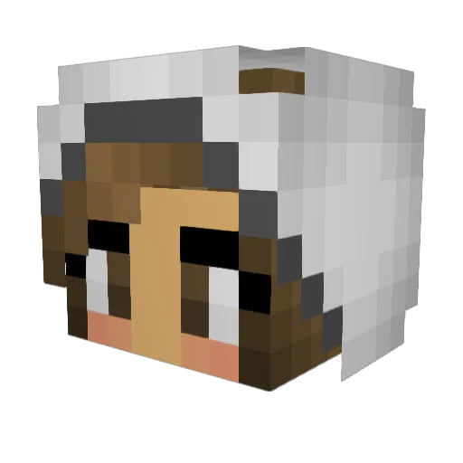 aKitsy Minecraft avatar head, 3D render