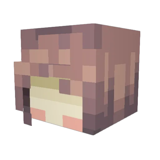 aLii0 Minecraft avatar head, 3D render