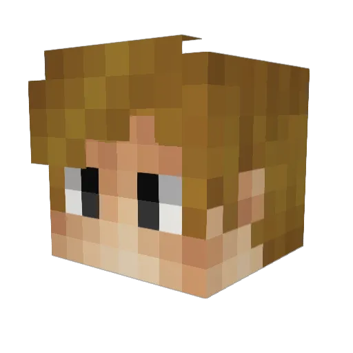 aLousyFatKid Minecraft avatar head, 3D render