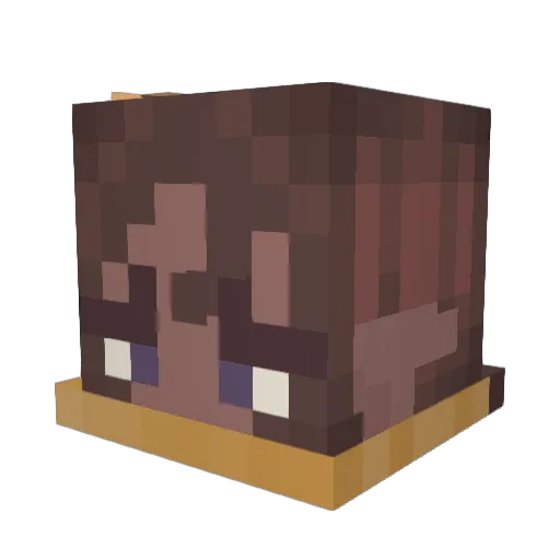 aLuckyduck98 Minecraft avatar head, 3D render