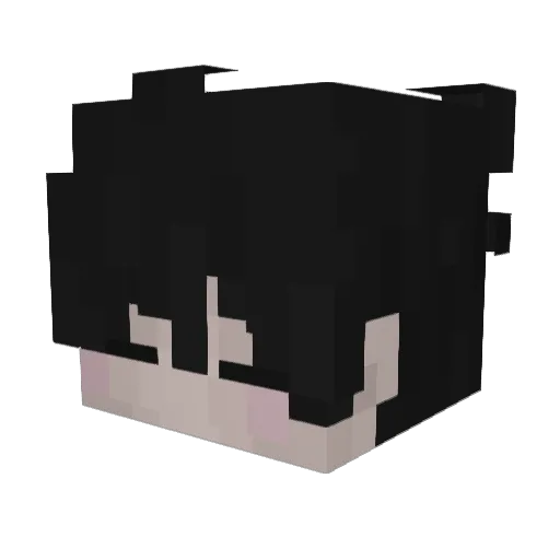 aMale Minecraft avatar head, 3D render
