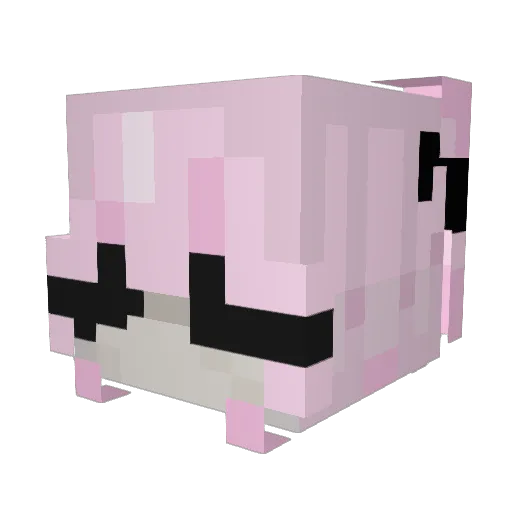 aMangoPineapple Minecraft avatar head, 3D render