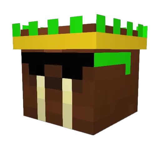 aMidnightWalrus Minecraft avatar head, 3D render