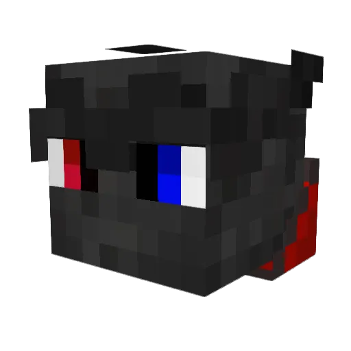aNOOBis2056 Minecraft avatar head, 3D render