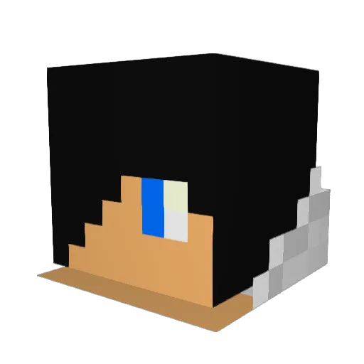 aNameNotFound Minecraft avatar head, 3D render