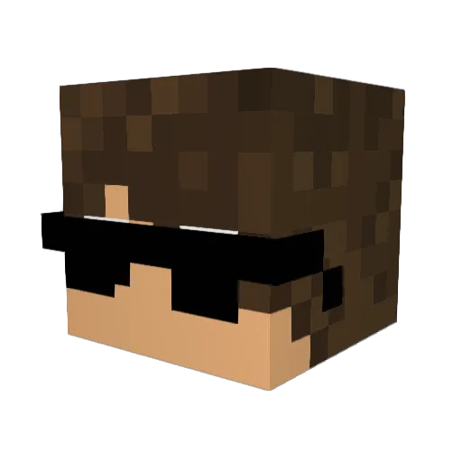 aNamiCoom Minecraft avatar head, 3D render