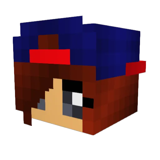aNiilaa Minecraft avatar head, 3D render