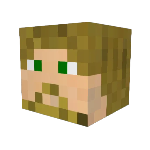 aNovelCharacter Minecraft avatar head, 3D render