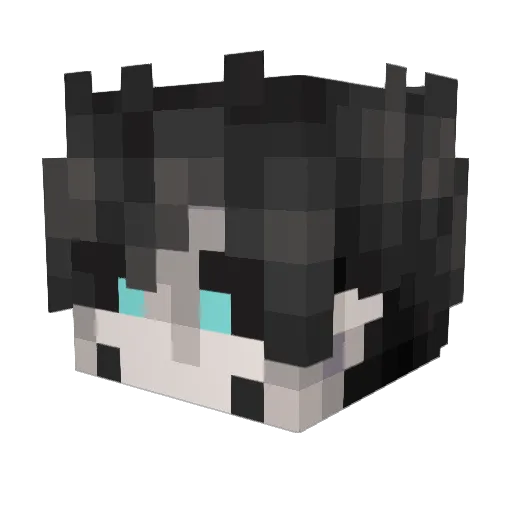 aPatarick Minecraft avatar head, 3D render