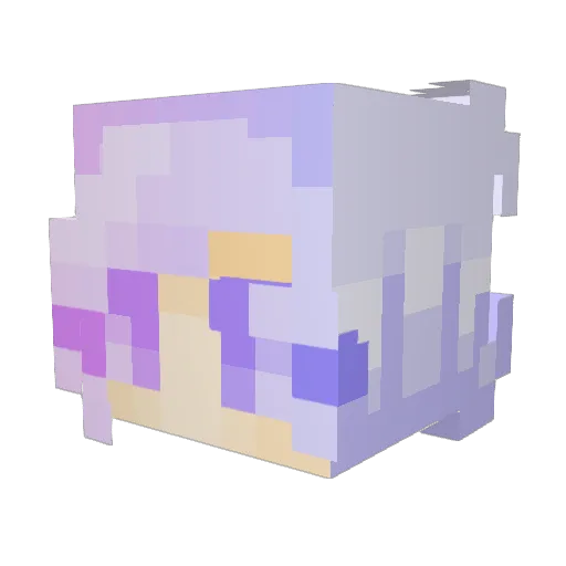 aPieceOfPi Minecraft avatar head, 3D render