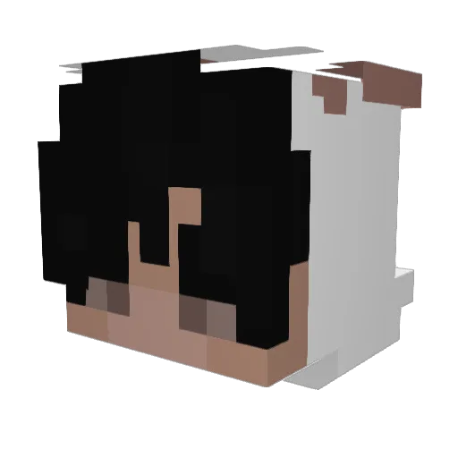 aPuppy Minecraft avatar head, 3D render