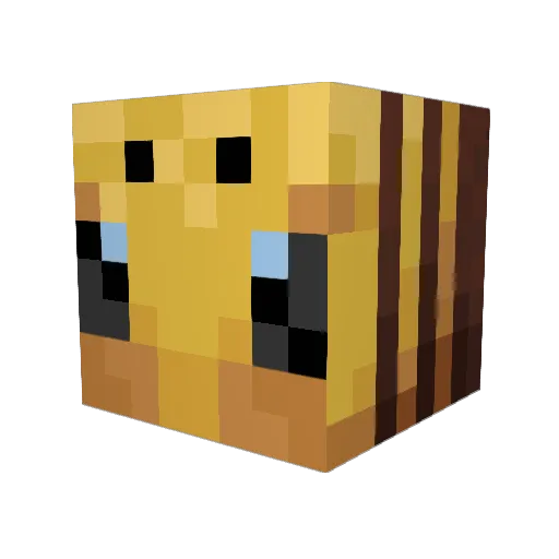 aRainyFaye Minecraft avatar head, 3D render