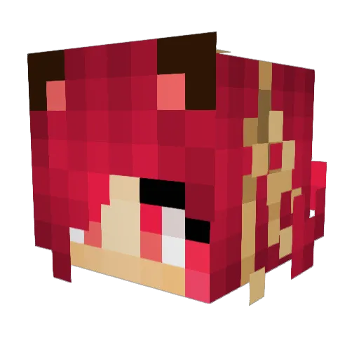 aRandomLucy Minecraft avatar head, 3D render